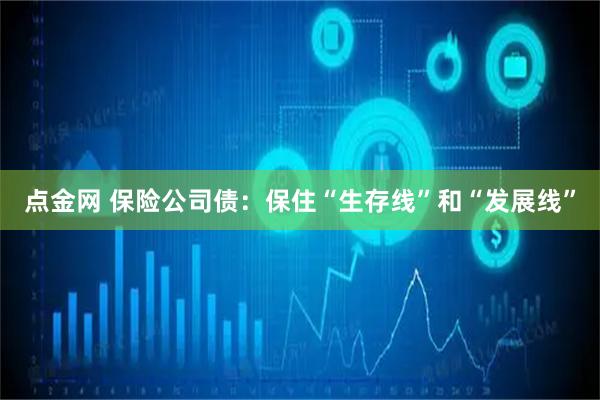 点金网 保险公司债：保住“生存线”和“发展线”