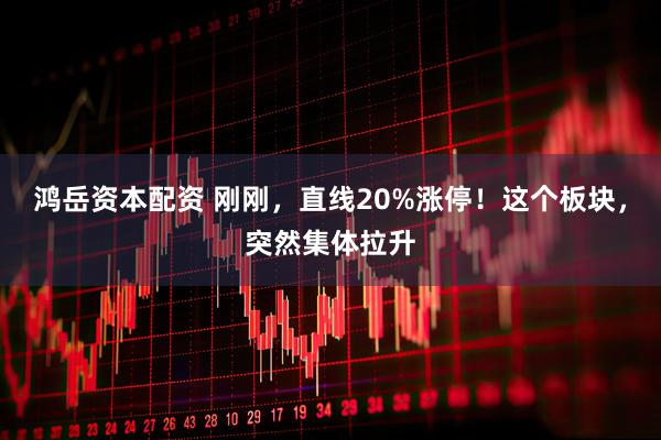 鸿岳资本配资 刚刚，直线20%涨停！这个板块，突然集体拉升