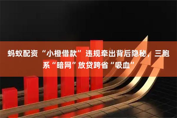 蚂蚁配资 “小橙借款” 违规牵出背后隐秘，三胞系“暗网”放贷跨省“吸血”