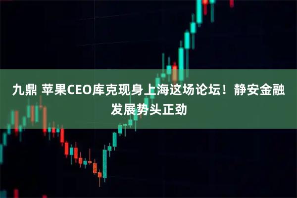 九鼎 苹果CEO库克现身上海这场论坛!静安金融发展势头正劲