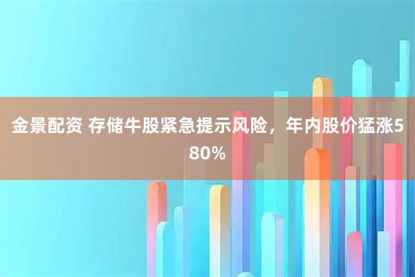 金景配资 存储牛股紧急提示风险，年内股价猛涨580%