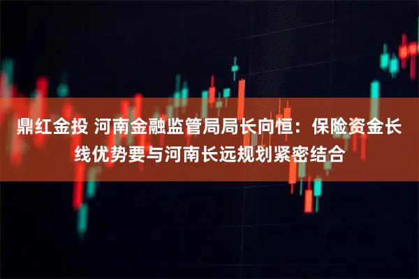 鼎红金投 河南金融监管局局长向恒:保险资金长线优势要与河南长远规划紧密结合