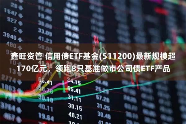 鑫旺资管 信用债ETF基金(511200)最新规模超170亿元,领跑8只基准做市公司债ETF产品