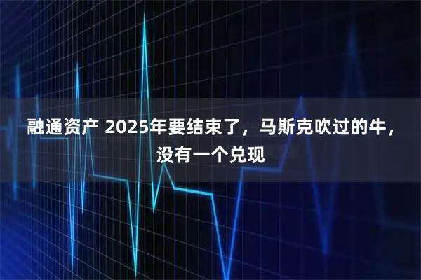 融通资产 2025年要结束了,马斯克吹过的牛,没有一个兑现