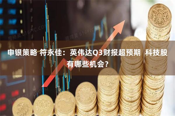 申银策略 符永佳:英伟达Q3财报超预期 科技股有哪些机会?